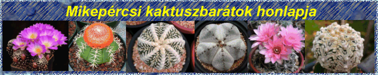 Mikeprcsi kaktuszbartok honlapja